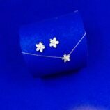 SS-SJ-CP-001(1)